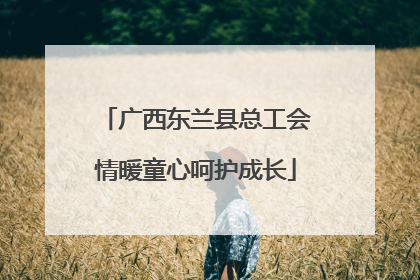 广西东兰县总工会情暖童心呵护成长