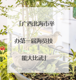 广西北海市举办第一届海员技能大比武