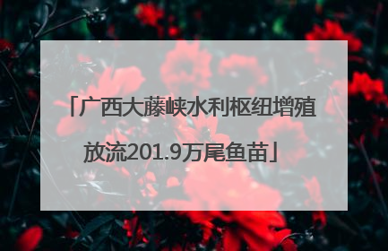 广西大藤峡水利枢纽增殖放流201.9万尾鱼苗