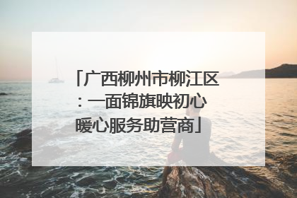 广西柳州市柳江区：一面锦旗映初心 暖心服务助营商