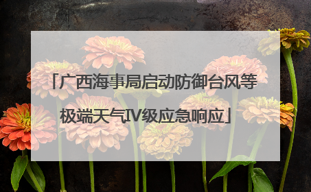 广西海事局启动防御台风等极端天气IV级应急响应