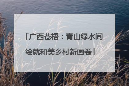 广西苍梧：青山绿水间绘就和美乡村新画卷