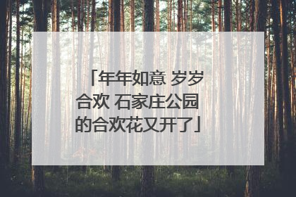 年年如意 岁岁合欢 石家庄公园的合欢花又开了