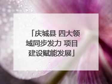 庆城县 四大领域同步发力 项目建设赋能发展