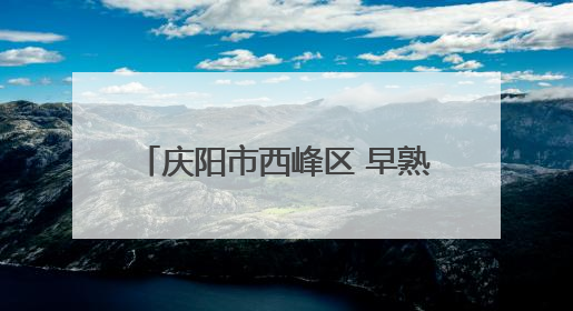 庆阳市西峰区 早熟红杏“云”端飘香