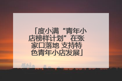 度小满“青年小店榜样计划”在张家口落地 支持特色青年小店发展