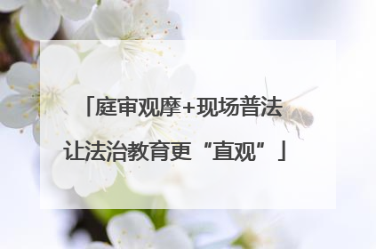 庭审观摩+现场普法 让法治教育更“直观”