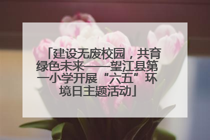 建设无废校园，共育绿色未来——望江县第一小学开展“六五”环境日主题活动