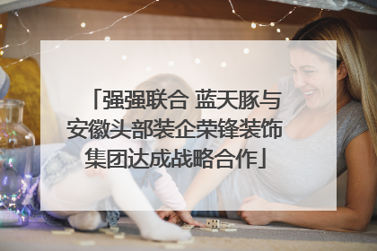 强强联合 蓝天豚与安徽头部装企荣锋装饰集团达成战略合作