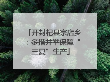 开封杞县宗店乡：多措并举保障“三夏”生产