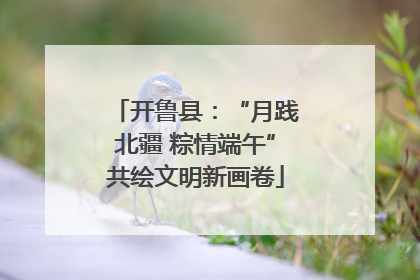 开鲁县：“月践北疆 粽情端午”共绘文明新画卷