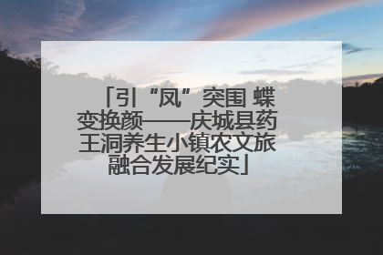 引“凤”突围 蝶变换颜——庆城县药王洞养生小镇农文旅融合发展纪实