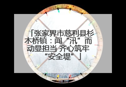 张家界市慈利县杉木桥镇：闻“汛”而动显担当 齐心筑牢“安全堤”