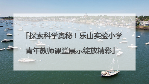 探索科学奥秘！乐山实验小学青年教师课堂展示绽放精彩