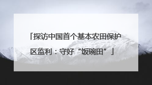 探访中国首个基本农田保护区监利：守好“饭碗田”