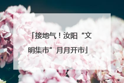 接地气！汝阳“文明集市”月月开市
