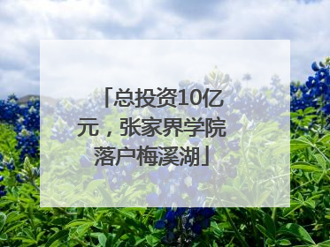 总投资10亿元，张家界学院落户梅溪湖