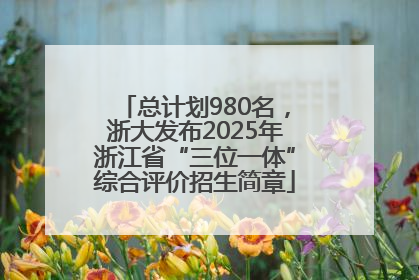 总计划980名，浙大发布2025年浙江省“三位一体”综合评价招生简章