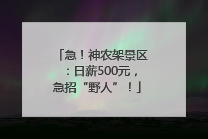 急！神农架景区：日薪500元，急招“野人”！