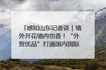 感知山东记者谈｜墙外开花墙内也香！“外贸优品”打通国内国际市场“旋转门”