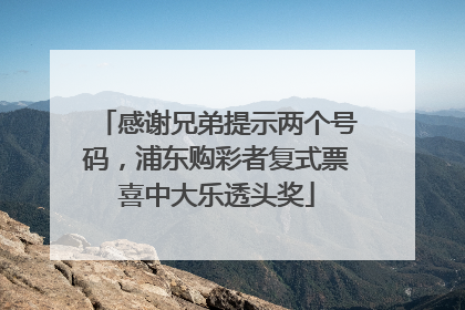 感谢兄弟提示两个号码，浦东购彩者复式票喜中大乐透头奖