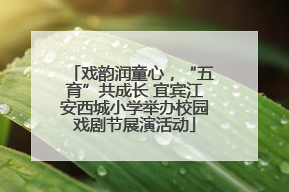 戏韵润童心，“五育”共成长 宜宾江安西城小学举办校园戏剧节展演活动