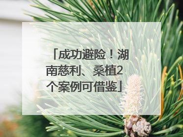 成功避险！湖南慈利、桑植2个案例可借鉴