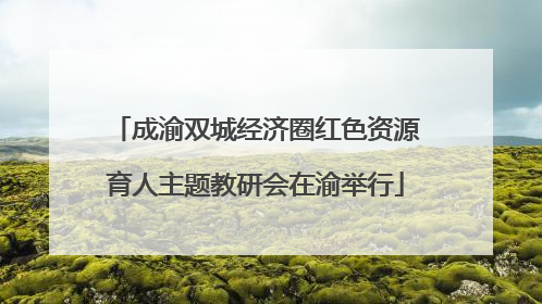 成渝双城经济圈红色资源育人主题教研会在渝举行