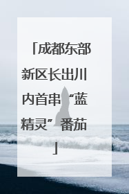 成都东部新区长出川内首串“蓝精灵”番茄