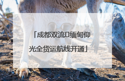 成都双流⇌缅甸仰光全货运航线开通