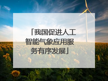 我国促进人工智能气象应用服务有序发展