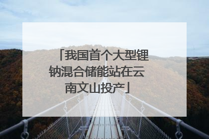 我国首个大型锂钠混合储能站在云南文山投产