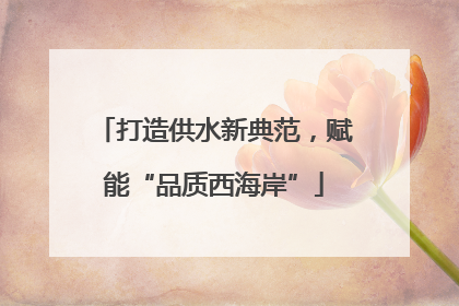 打造供水新典范，赋能“品质西海岸”