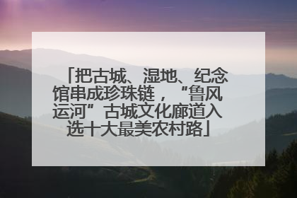 把古城、湿地、纪念馆串成珍珠链，“鲁风运河”古城文化廊道入选十大最美农村路