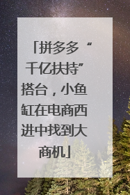 拼多多“千亿扶持”搭台，小鱼缸在电商西进中找到大商机