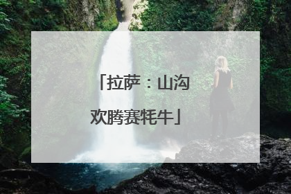 拉萨：山沟欢腾赛牦牛
