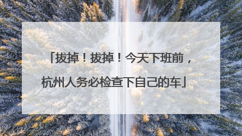 拔掉！拔掉！今天下班前，杭州人务必检查下自己的车