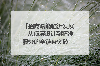 招商赋能临沂发展：从顶层设计到精准服务的全链条突破