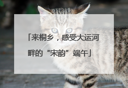 来桐乡，感受大运河畔的“宋韵”端午