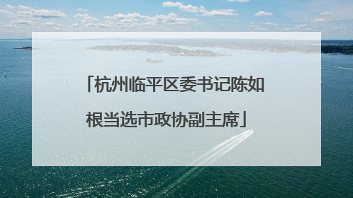 杭州临平区委书记陈如根当选市政协副主席