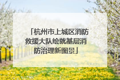 杭州市上城区消防救援大队绘就基层消防治理新图景