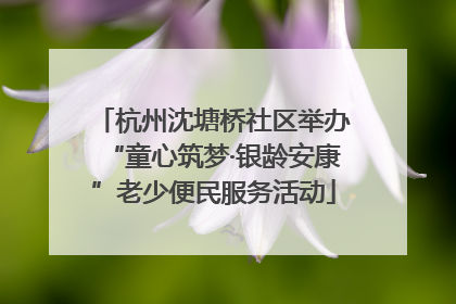 杭州沈塘桥社区举办“童心筑梦·银龄安康”老少便民服务活动