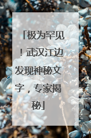 极为罕见！武汉江边发现神秘文字，专家揭秘