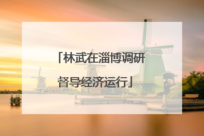 林武在淄博调研督导经济运行