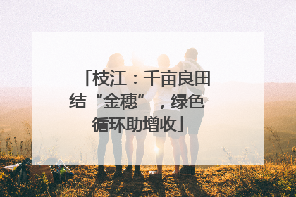 枝江：千亩良田结“金穗”，绿色循环助增收