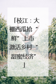 枝江：大棚西瓜抢“鲜”上市 激活乡村“甜蜜经济”