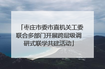 枣庄市委市直机关工委联合多部门开展跨层级调研式联学共建活动