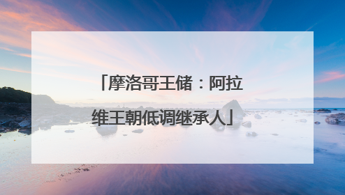 摩洛哥王储：阿拉维王朝低调继承人