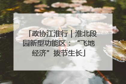 政协江淮行｜淮北段园新型功能区：“飞地经济”拔节生长