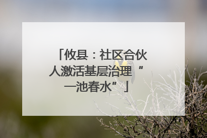 攸县：社区合伙人激活基层治理“一池春水”